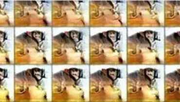 مغز میمون‌ها چگونه عمل می‌کند؟