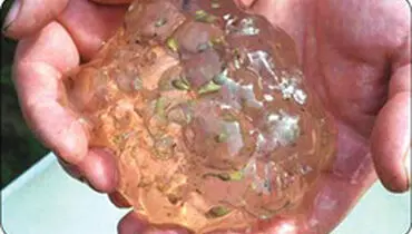 ماجرای بارش ماده عجیب و غریب از آسمان در واشنگتن