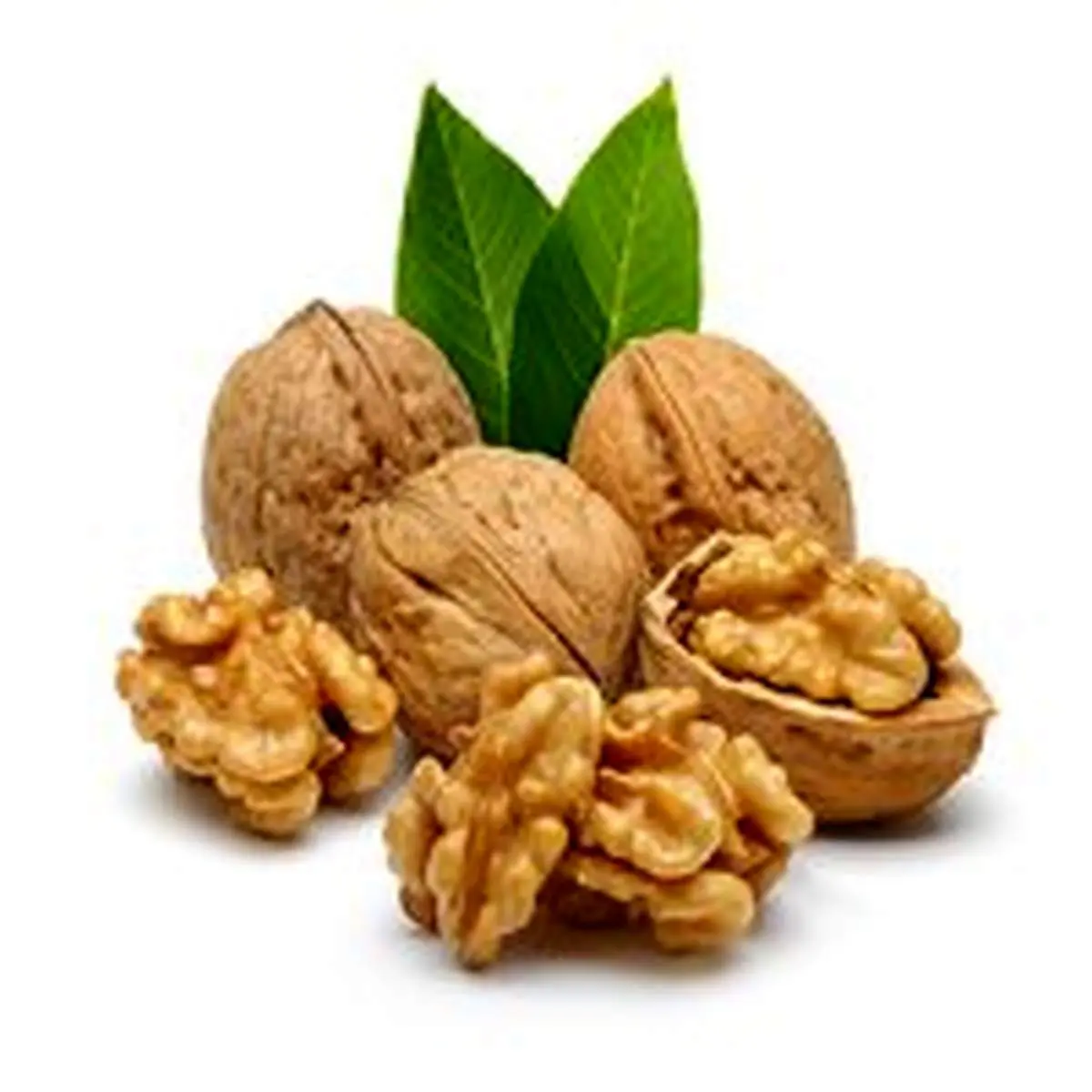 مصرف روزانه گردو ریسک بیماری قلبی را کاهش می‌دهد