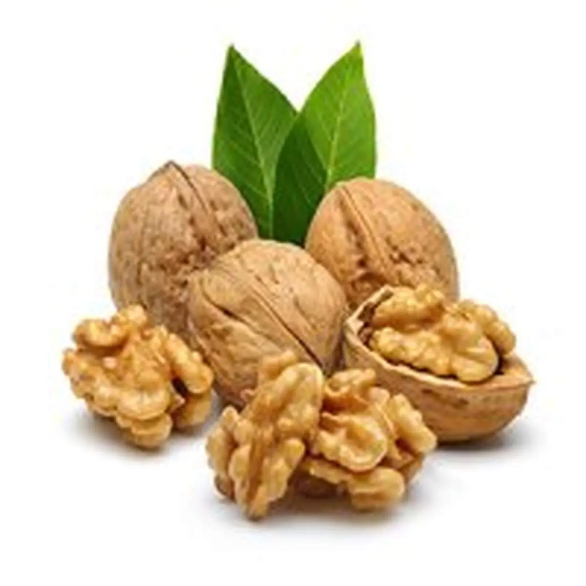 مصرف روزانه گردو ریسک بیماری قلبی را کاهش می‌دهد