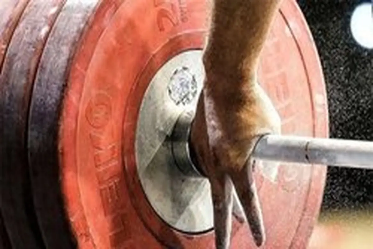 قضاوت یک خانم ایرانی در وزنه‌برداری +عکس