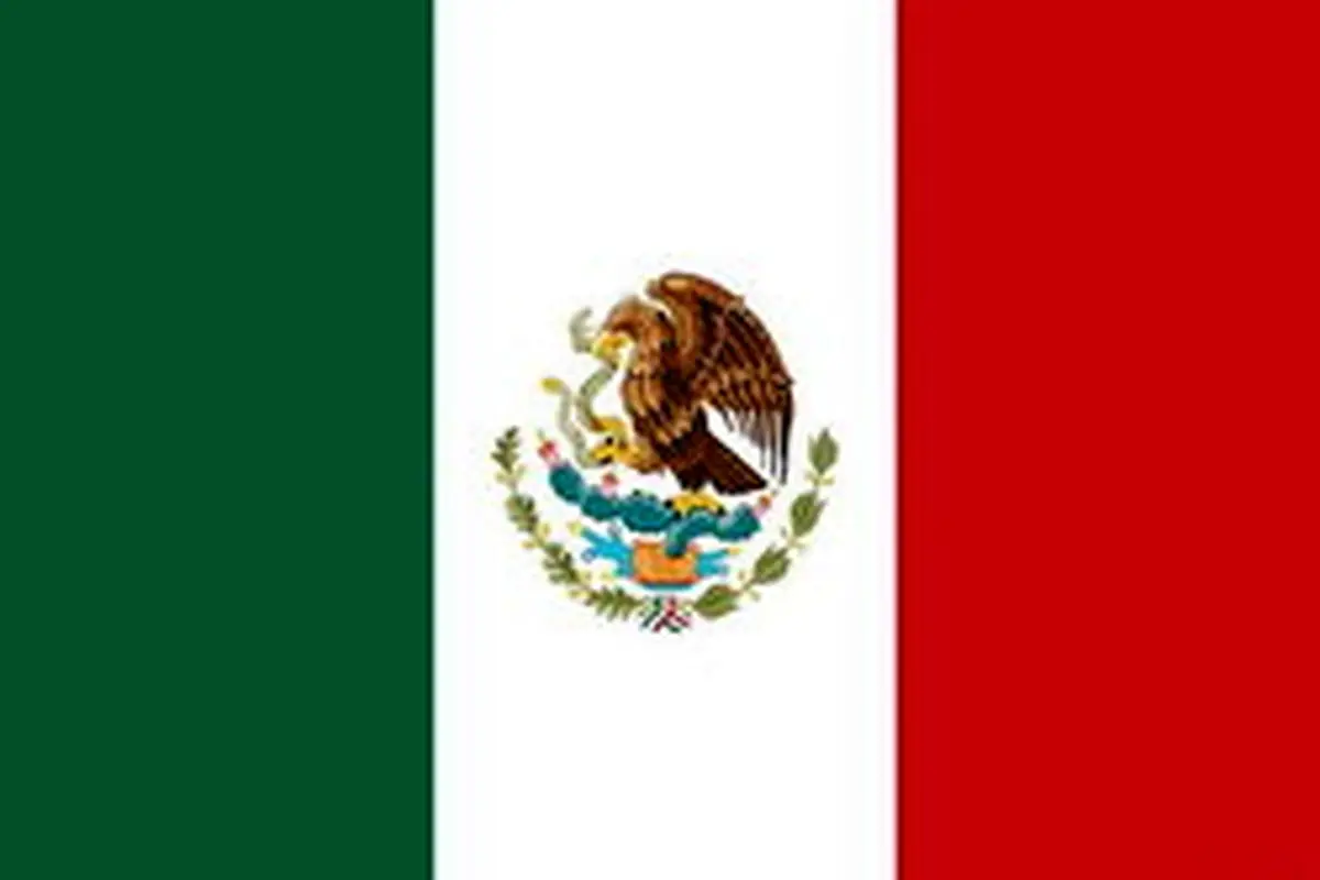 یک فروند هواپیما در مکزیک سقوط کرد