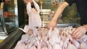 قیمت مرغ روی ۱۱ هزار و ۵۰۰ تومان ماند