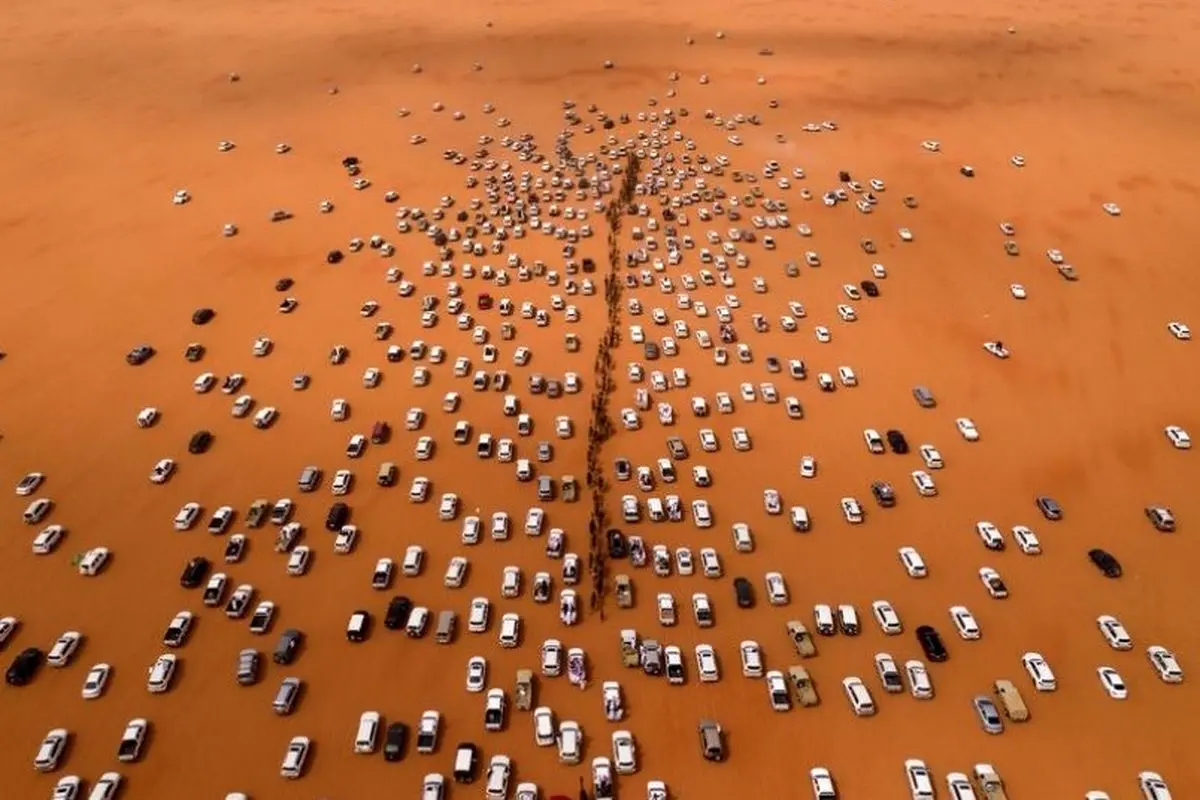 فستیوال شتر‌های عربستان +عکس