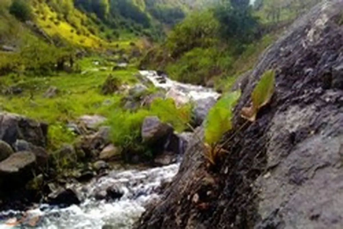 روستای ناتر؛ طبیعتی نهفته در دل جاده چالوس