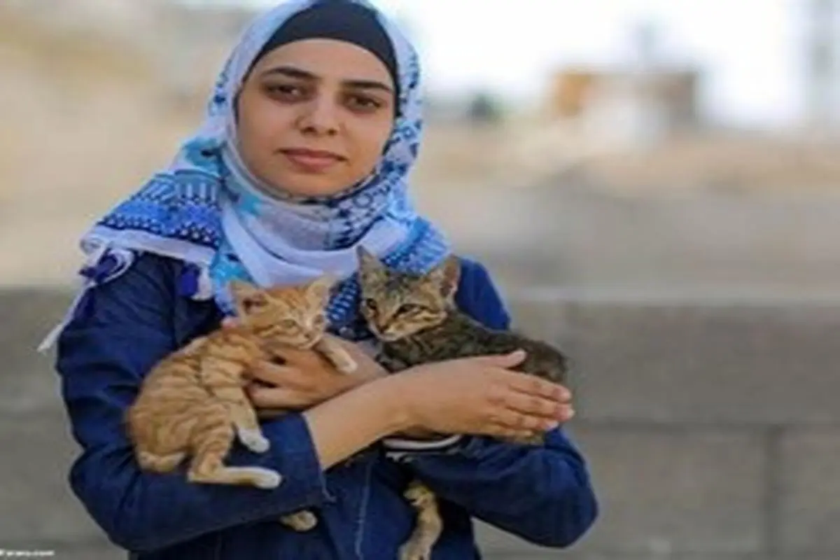 علاقه دختران فلسطینی به گربه‌های خیابانی+عکس