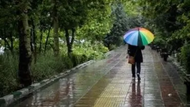 سهم هر استان از رشد بارندگی ها چقدر است؟