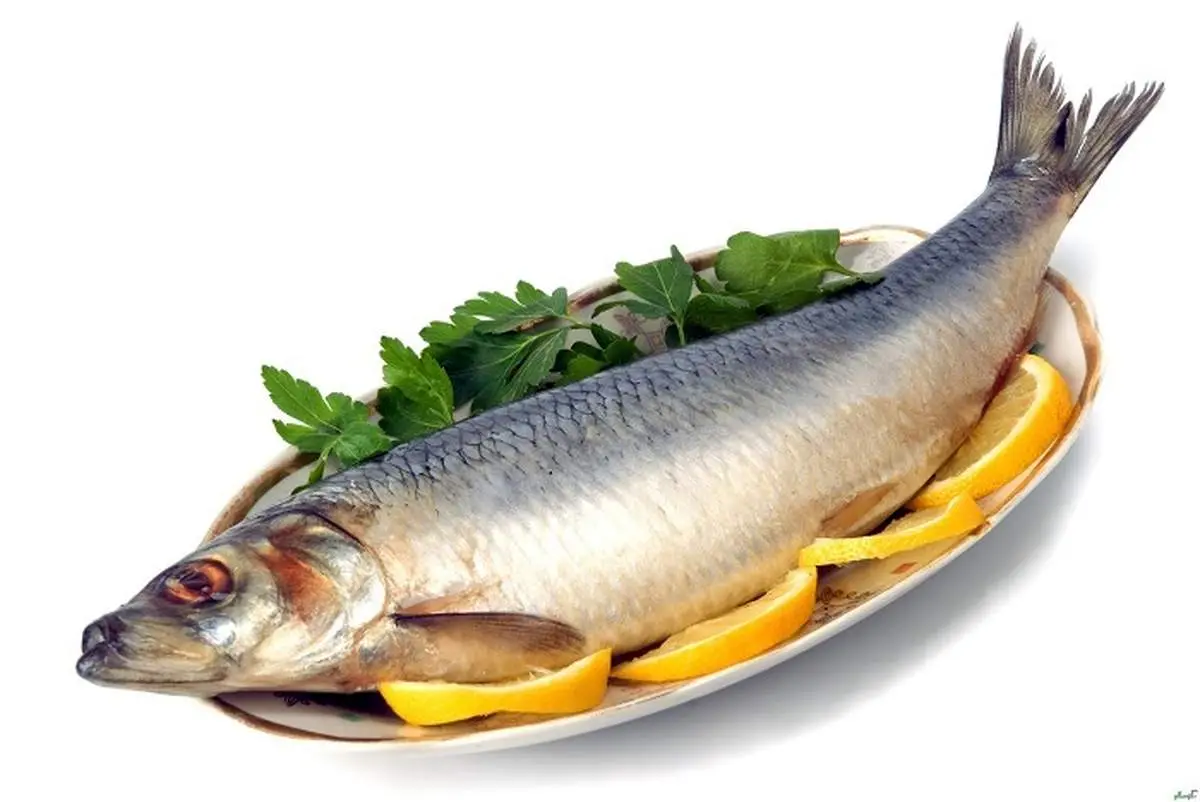 غذاهایی برای کنترل آثار مخرب استرس‌