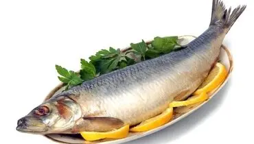 غذاهایی برای کنترل آثار مخرب استرس‌