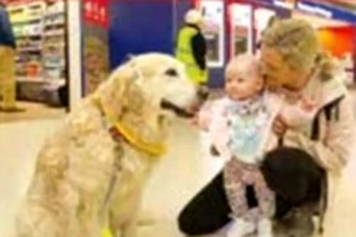 سگ درمانی در فرودگاه اسکاتلند