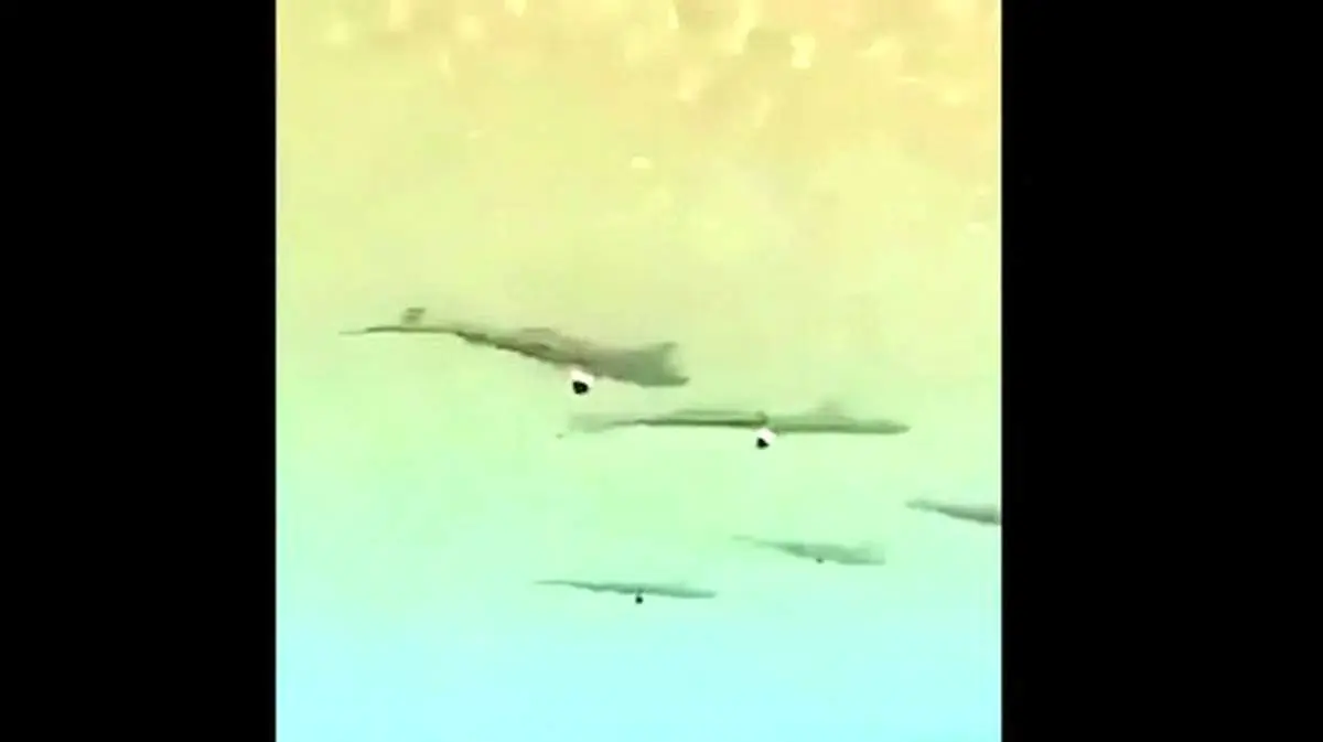هجوم کوسه‌ها به ساحل کیش