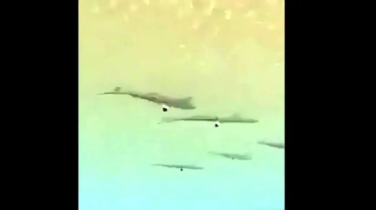 هجوم کوسه‌ها به ساحل کیش