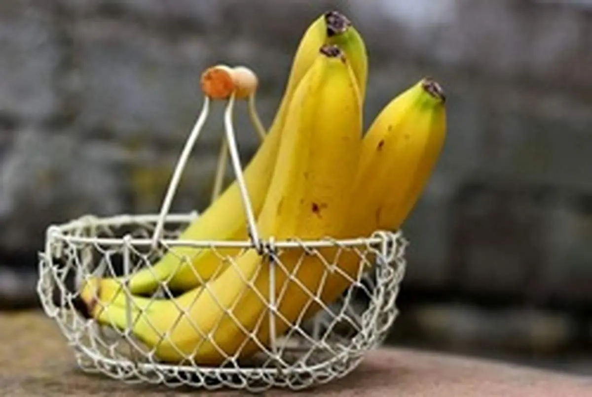 موز بخورید تا چشمهای سالم داشته باشید