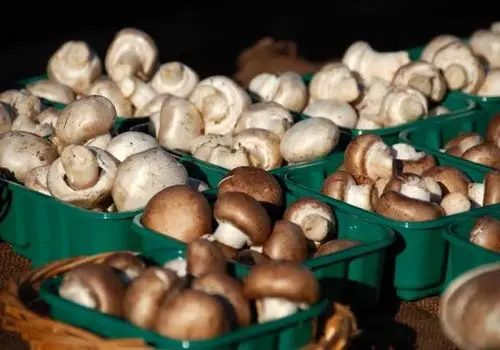 قیمت روز گوشت قرمز امروز؛ ۱۴ دی ۱۴۰۴ + جدول نرخ‌ها