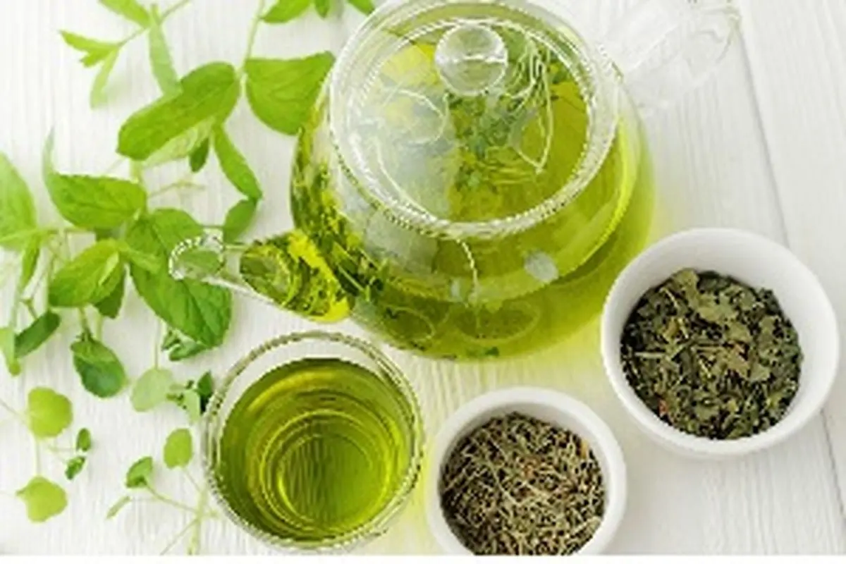 خواص و خطرات چای سبز را بشناسید