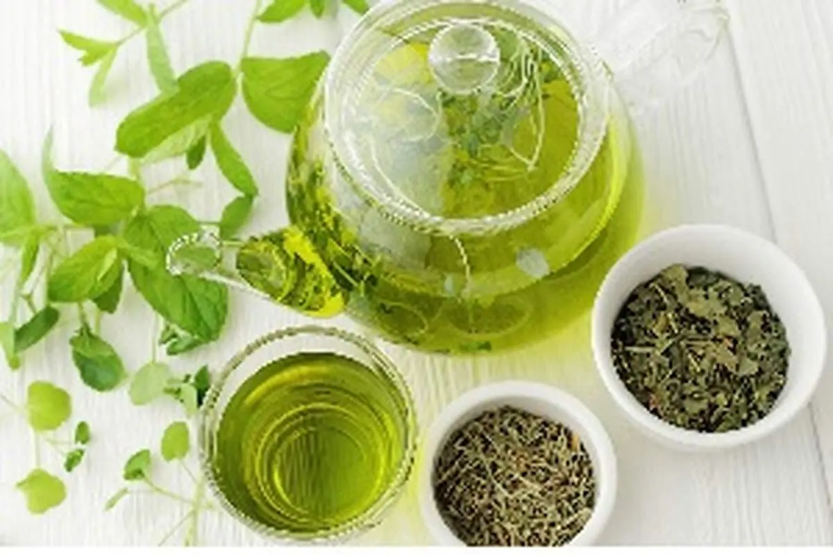خواص و خطرات چای سبز را بشناسید