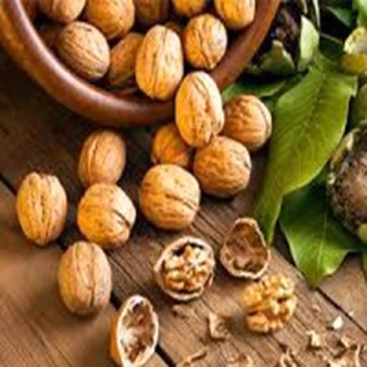 بهترین راهکار برای کاهش کلسترول