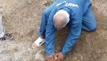دادگاه «گرگ پیر» در مشهد برگزار می‌شود
