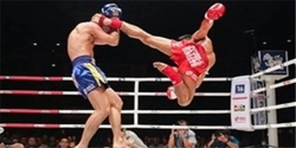 افشای راز خطرناک دوستاره هنر‌های رزمی