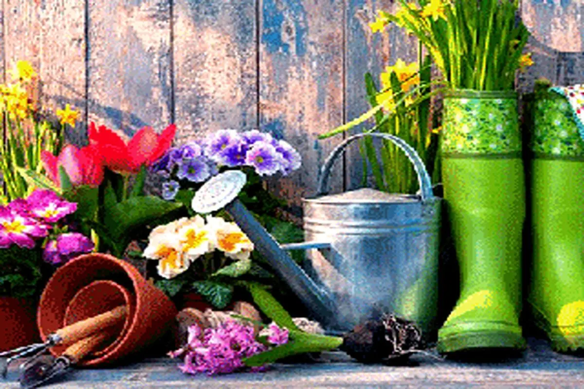در بهار چه گل و گیاهانی بکاریم؟