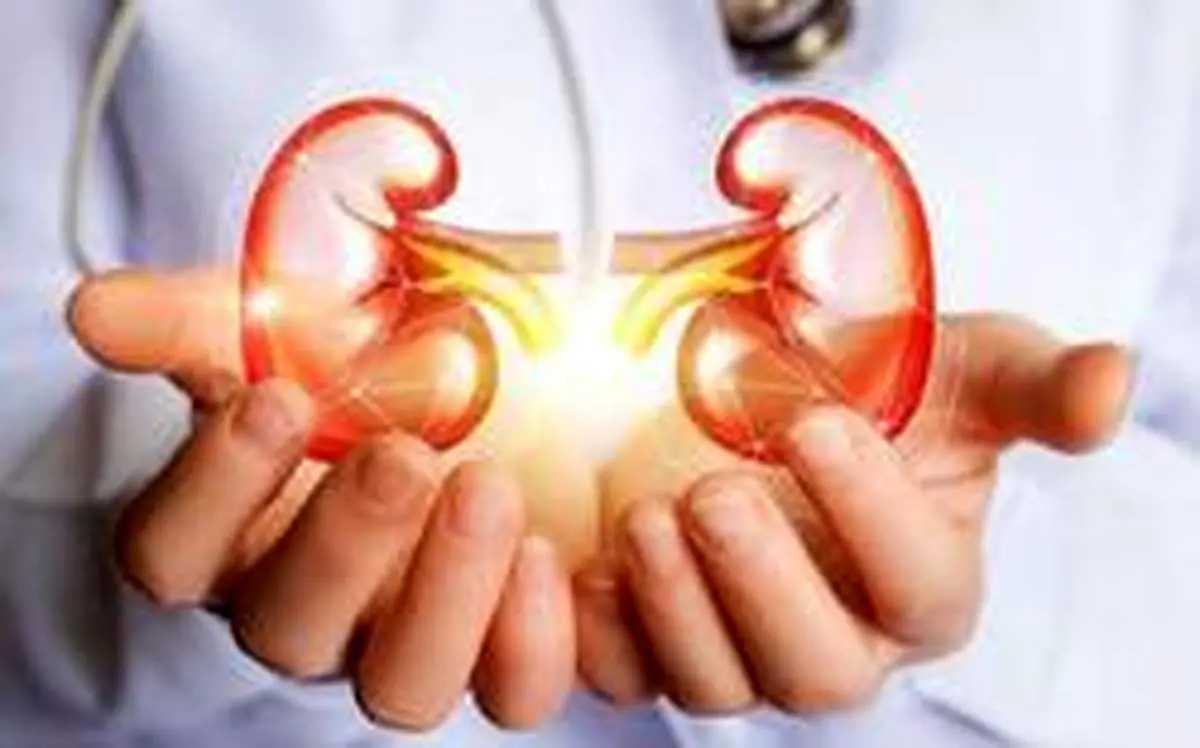 دفع سنگ کلیه با ۶ نوشیدنی طبیعی فوق العاده