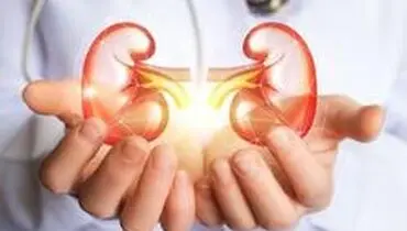 دفع سنگ کلیه با ۶ نوشیدنی طبیعی فوق العاده