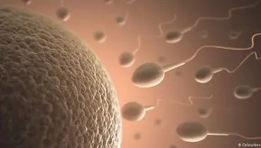 رویای پدر شدن پس از مرگ دوباره محقق شد
