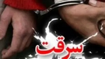 سرقت در پوشش کمک به سالمندان