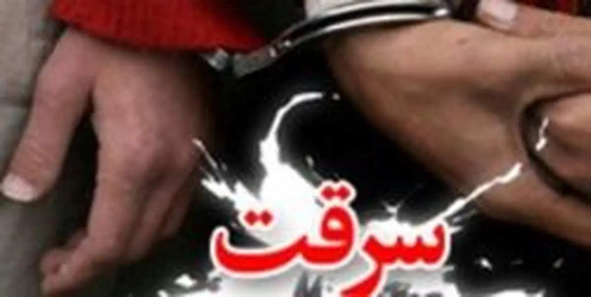سرقت در پوشش کمک به سالمندان