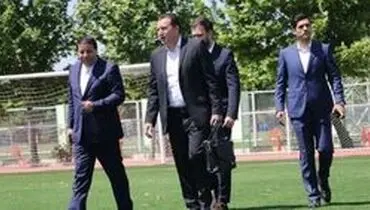 ویلموتس مربی پروازی نیست
