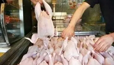 کاهش تقاضا نرخ مرغ را نزولی کرد