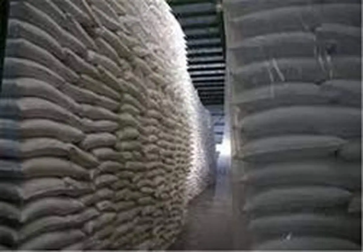فعالیت مافیای واردات شکر؛ بدون دردسر!