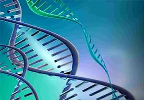 شبکه‌های اجتماعی و بدن‌های غیرواقعی؛ عامل رشد اختلال تصویر بدن