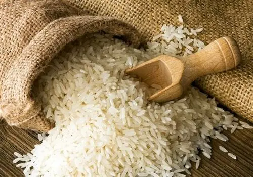 افشای اسرار گرانی برنج روی آنتن زنده + فیلم