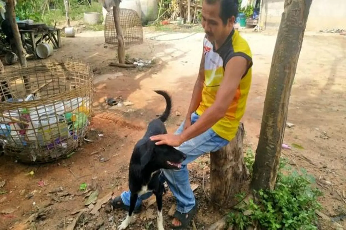 نجات نوزاد زنده به گور شده توسط یک «سگ»