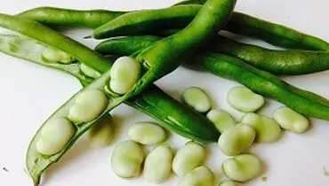 بی حالی فصل بهار ناشی از خوردن باقلا