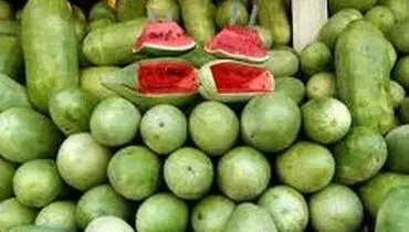 چرا هندوانه گران شد؟