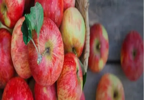 3 پرده از فاجعه‌‌ای بزرگ در دهان مردم!

