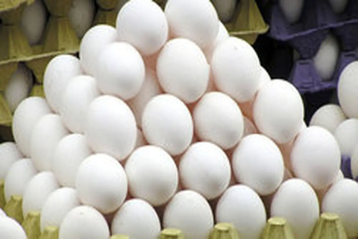 نرخ تخم مرغ به کیلویی ۴ هزار و ۲۰۰ تومان رسید
