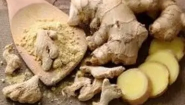 بهترین آنتی بیوتیک های غیردارویی