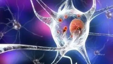 تفاوت شدت بروز بیماری‌ها در ساعات مختلف شبانه‌روز