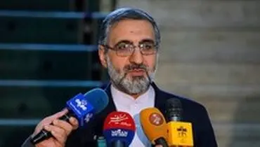 توضیحات سخنگوی قوه قضائیه درباره مداح معروف
