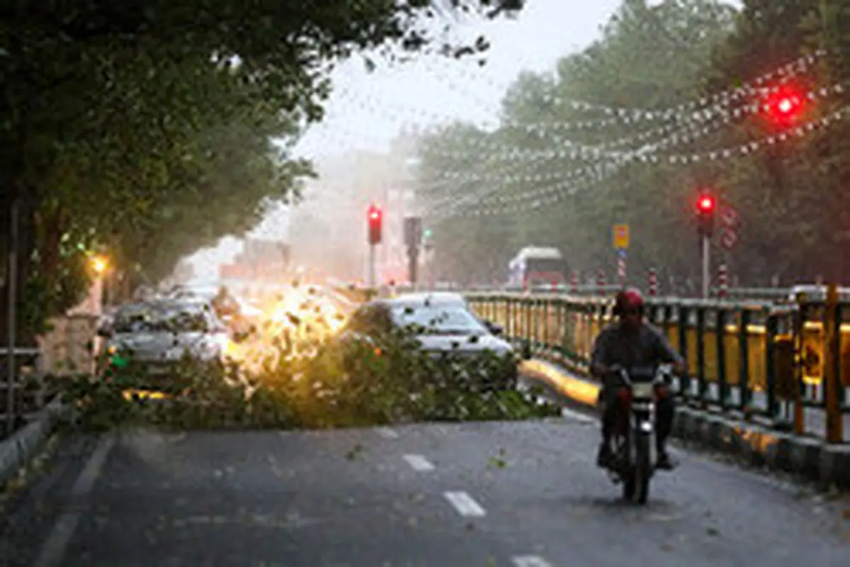 وقوع ٢٠ حادثه مرتبط با طوفان در تهران