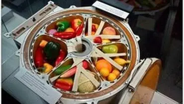 لذت چشیدن طعم زمینی میوه‌ها در فضا+عکس