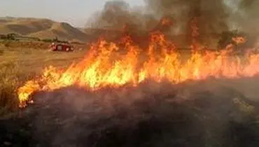مزارع کشاورزی سیروان دچار آتش سوزی شد