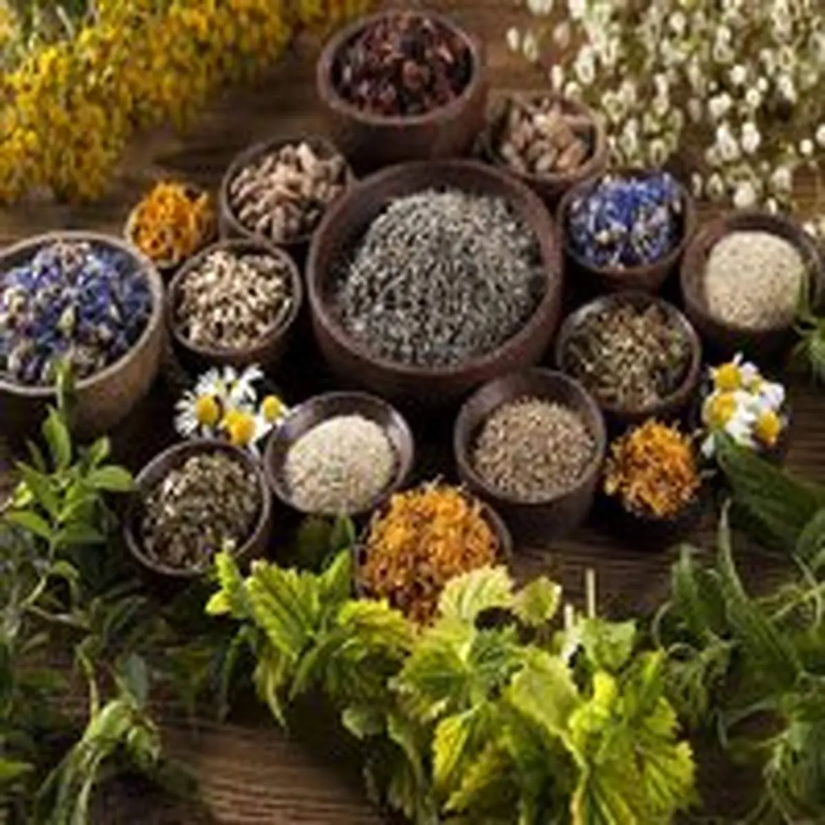 ۵ گیاه گرمسیری با خواص ضدسرطانی