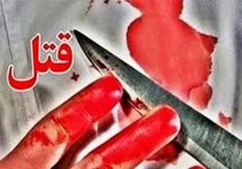 دستگیری متهمان حادثه زورگیری اتوبان صدر