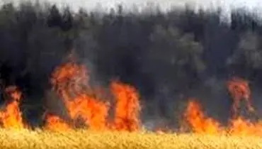 آتش سوزی ۶۴ هکتار از مزارع و مراتع استان ایلام