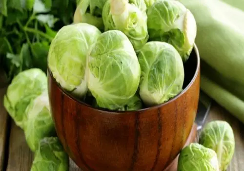 آموزش ساخت کیت کنترل خونریزی با وسایل ساده درخانه