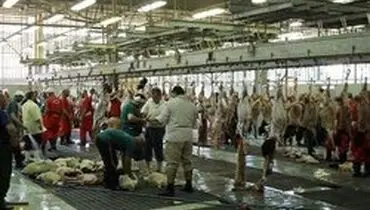 قیمت قربانی حج ۹۸ اعلام شد